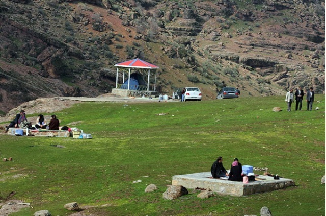 مخمل کوه لرستان