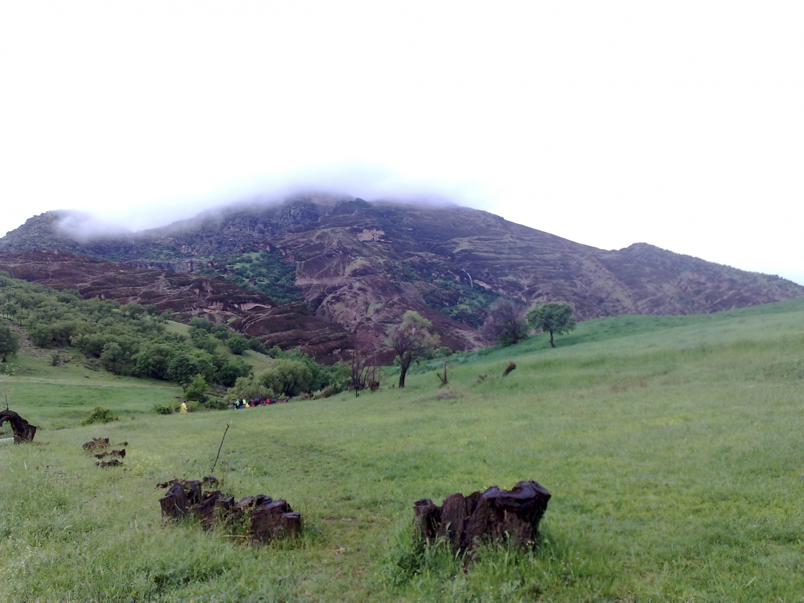 مخمل کوه لرستان