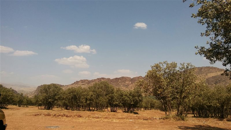 مخمل کوه لرستان