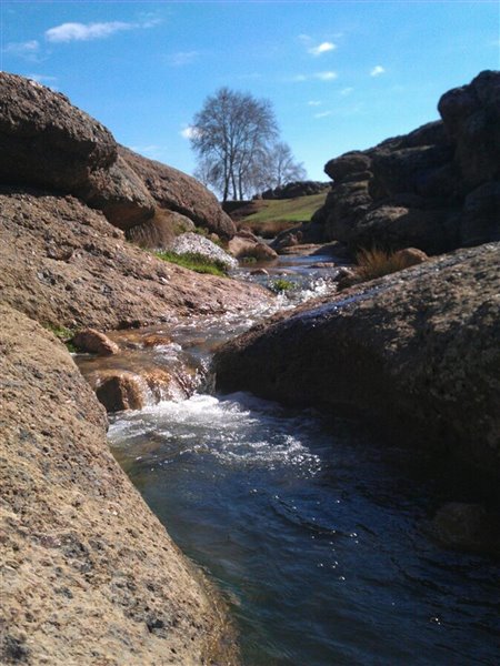 مخمل کوه لرستان