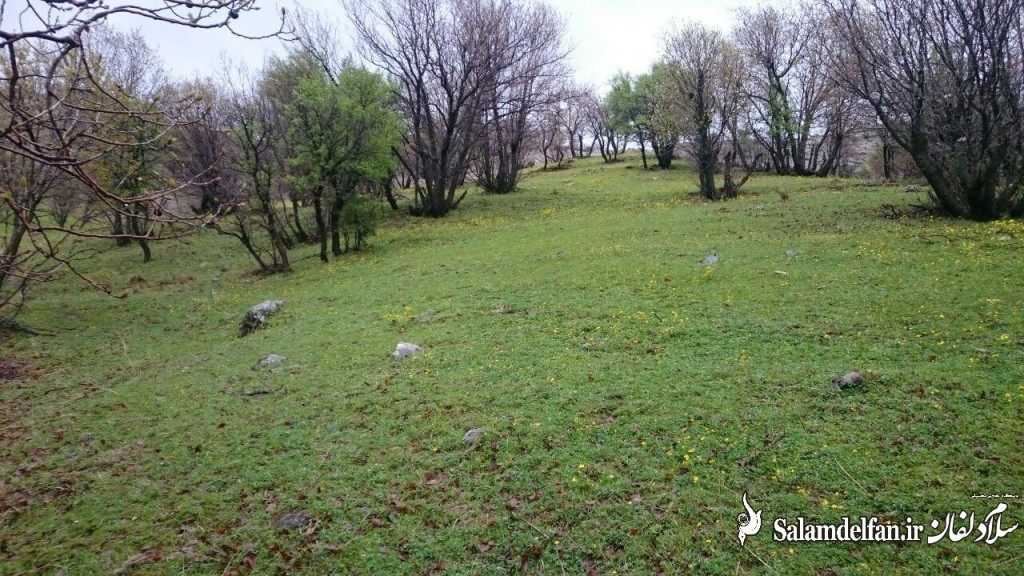 مهراب کوه دلفان