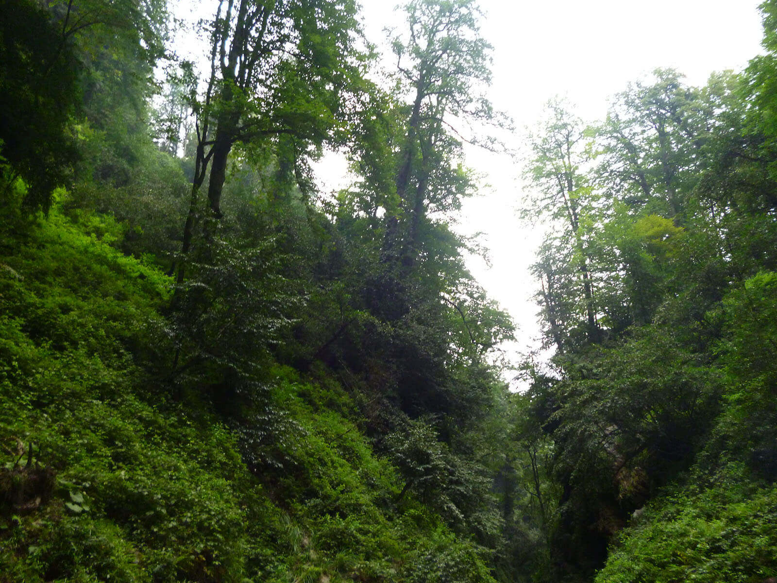 آبشار گزو مازندران