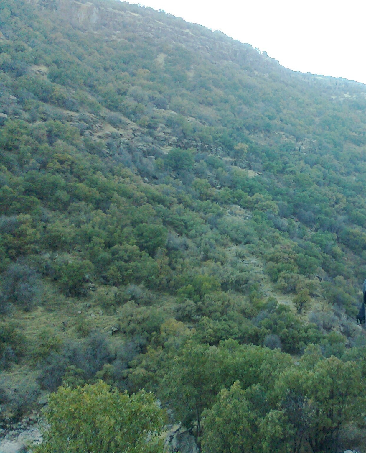 آبشار نای انگیز