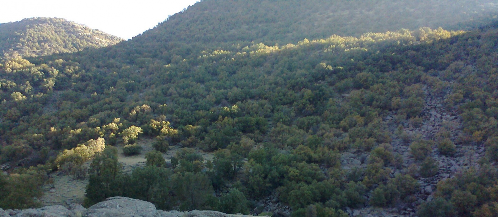 آبشار نای انگیز