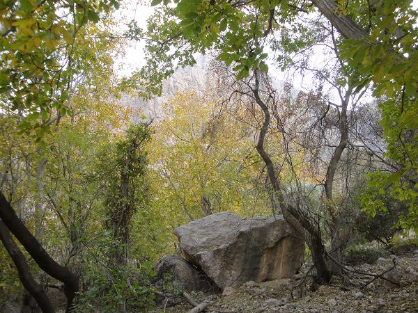 آبشار بیشه گرمه