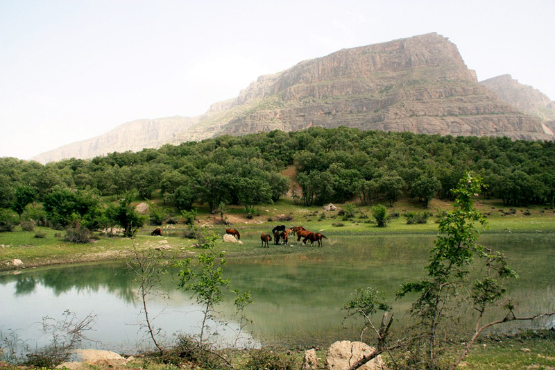 تالاب ازگن لرستان