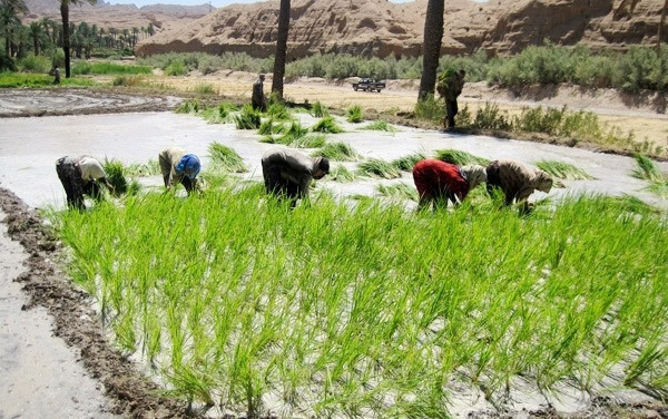 ازمیغان روستایی شگفت‌انگیز در خراسان جنوبی