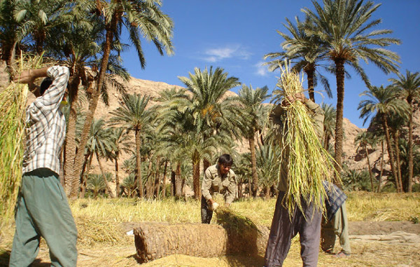 روستای ازمیغان