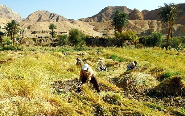 ازمیغان روستایی شگفت‌انگیز در خراسان جنوبی