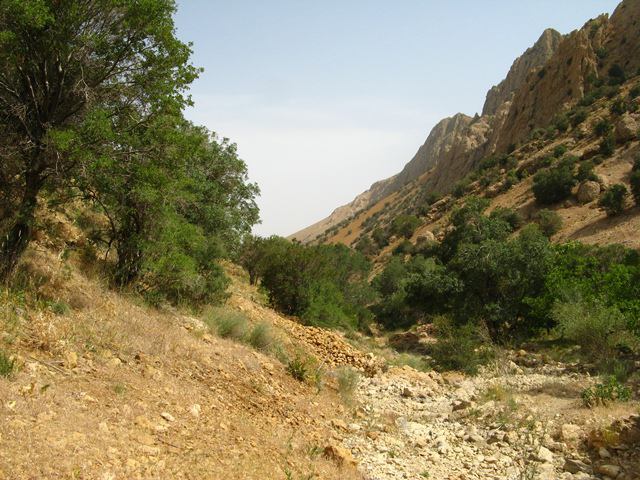 تنگه بغدیون