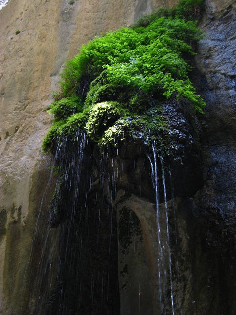 تنگه بغدیون
