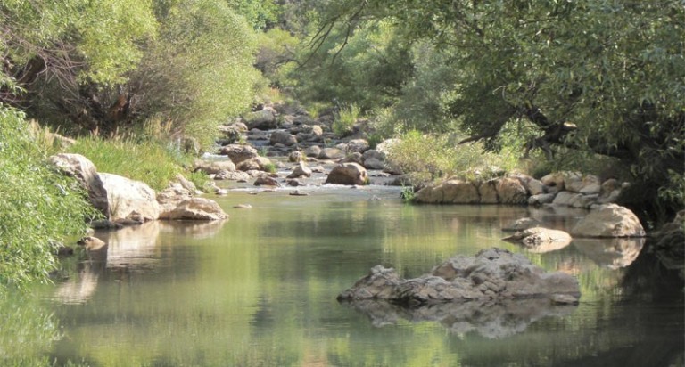 تنگه تیزاب
