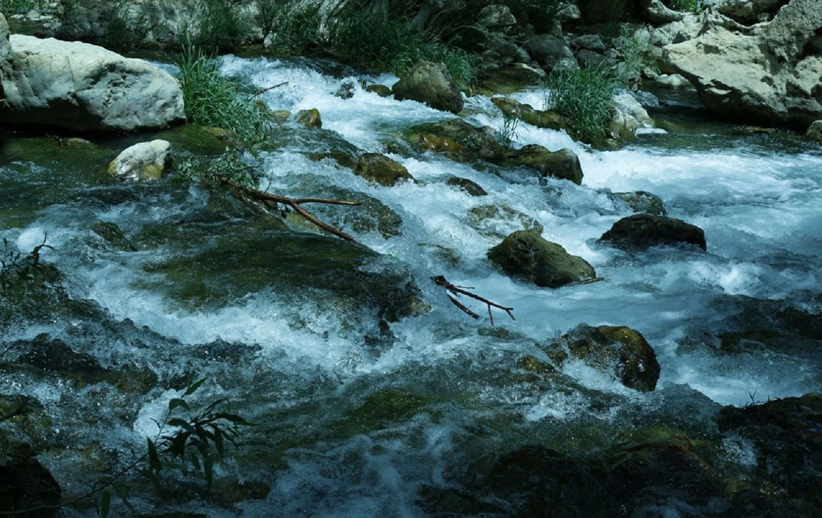تنگه تیزاب