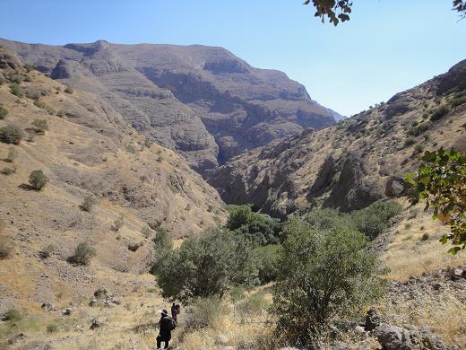 دره نی گاه لرستان