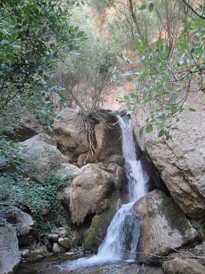 دره نی گاه لرستان