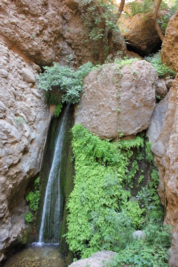 دره نی گاه لرستان