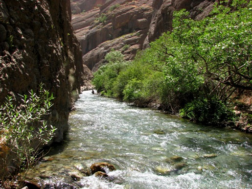 دره نی گاه لرستان