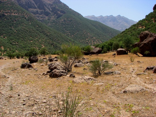 دره نی گاه لرستان