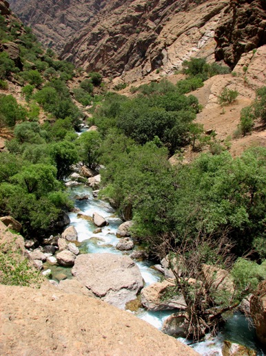 دره نی گاه لرستان