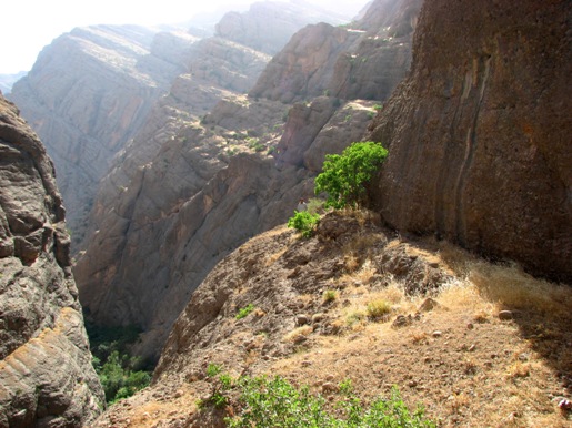 دره نی گاه لرستان