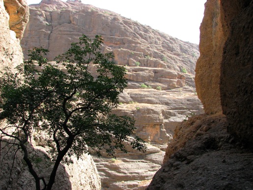 دره نی گاه لرستان