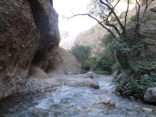 دره نی گاه لرستان