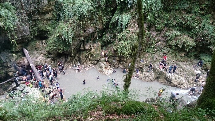 تنگ دار نوشهر