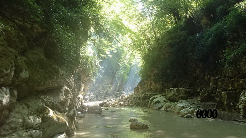 تنگ دار نوشهر
