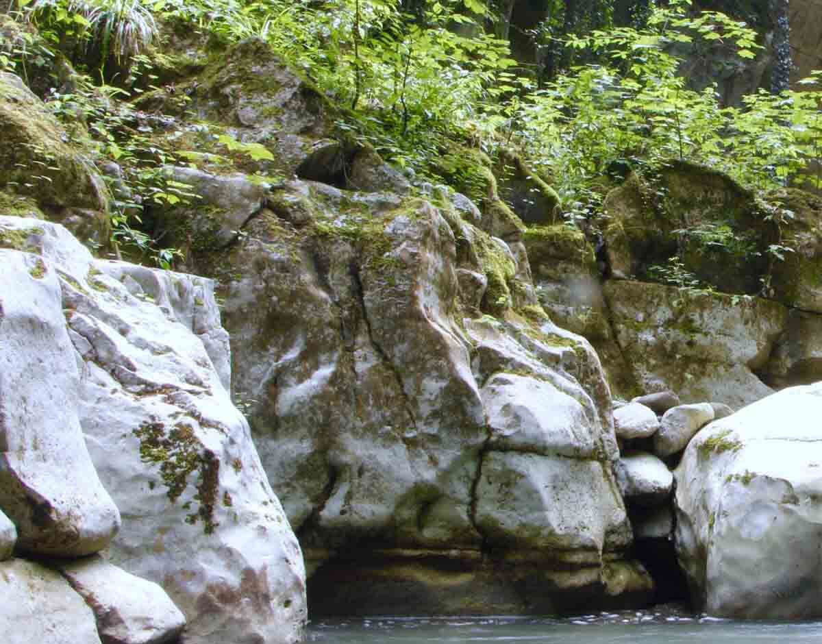 تنگ دار نوشهر