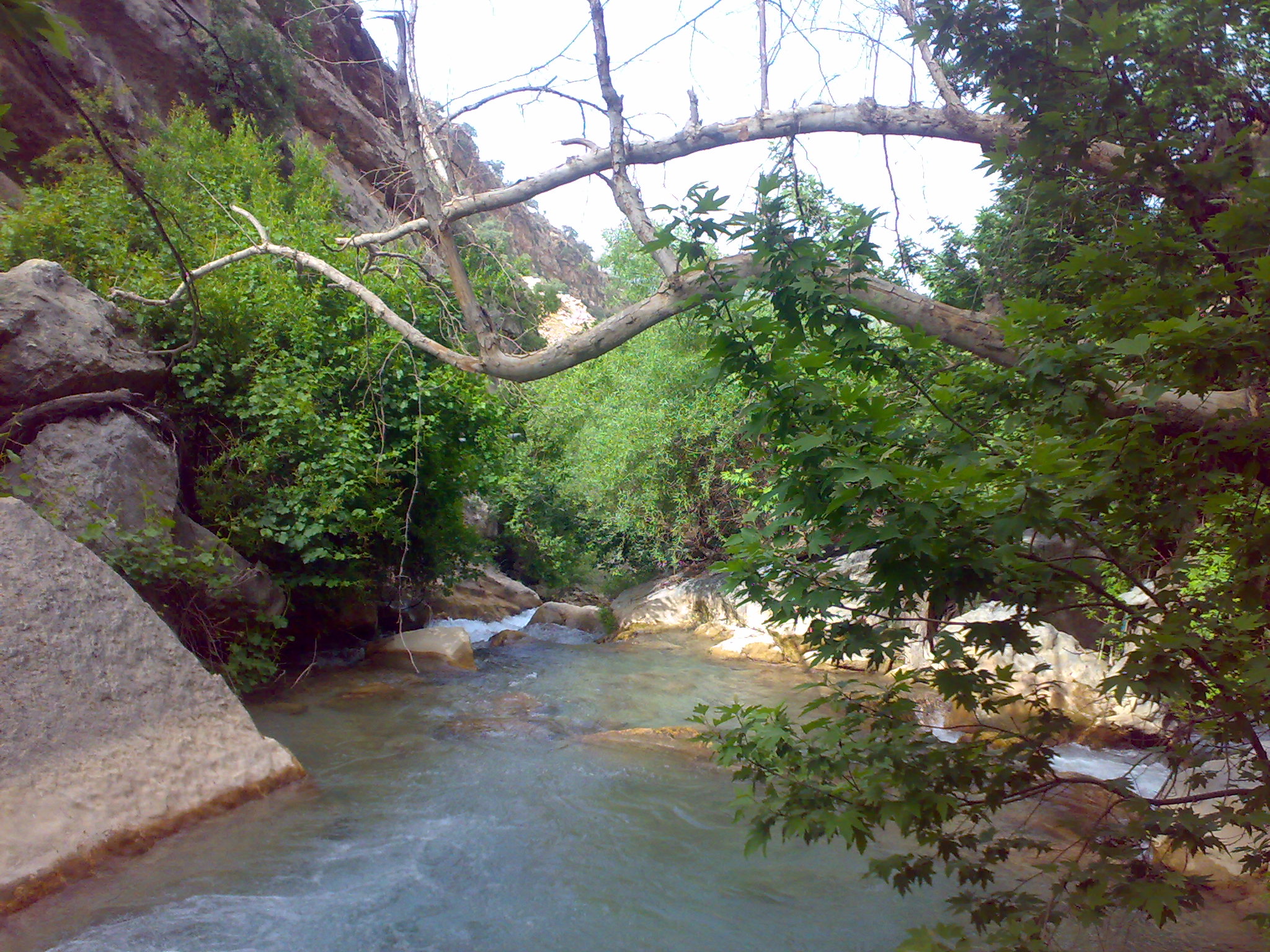 تنگ گجستان فارس