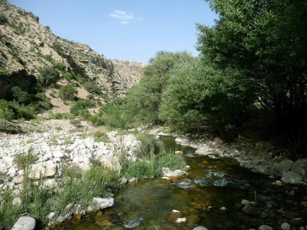 تنگ گمبیل سپیدان