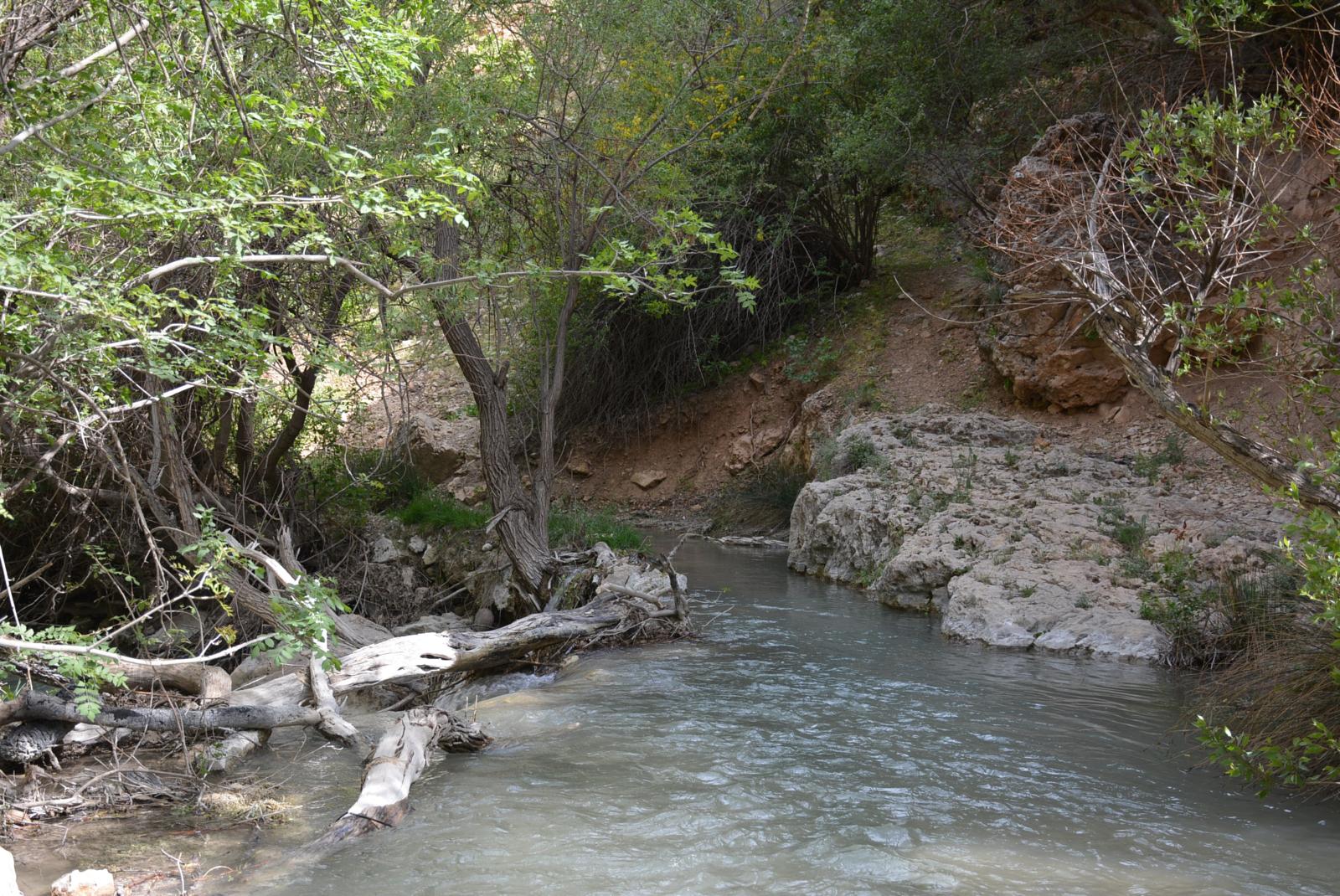 تنگ گمبیل سپیدان