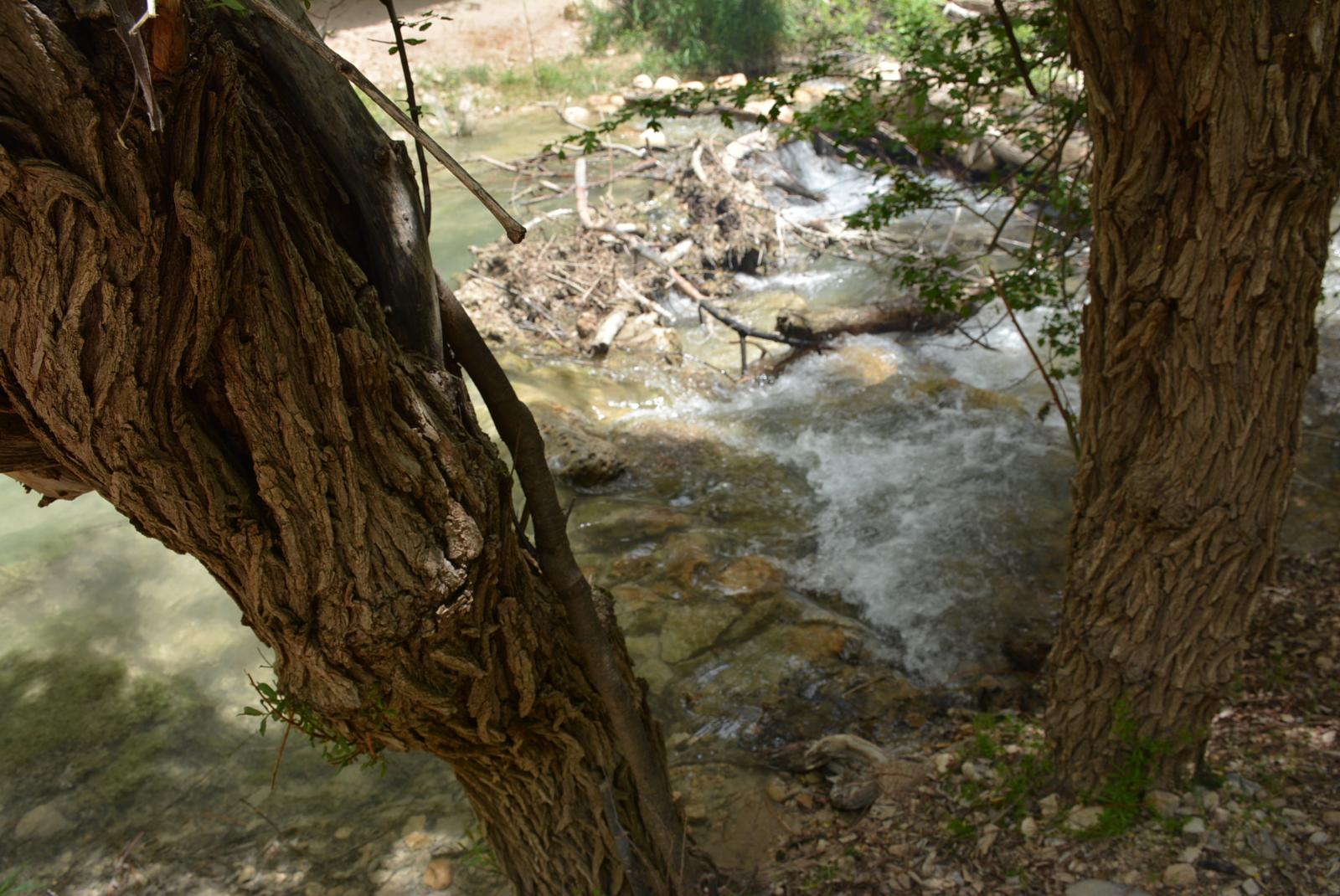 تنگ گمبیل سپیدان
