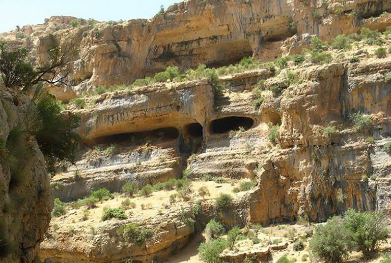 تنگ گمبیل سپیدان