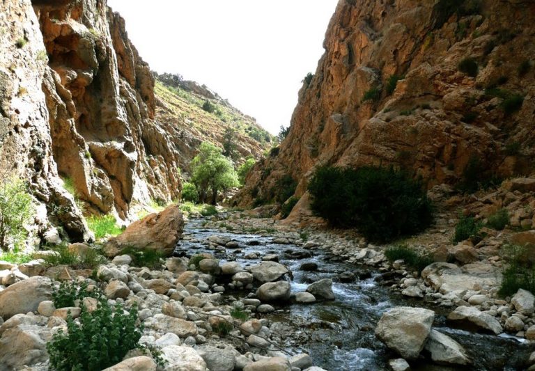 تنگ گمبیل سپیدان