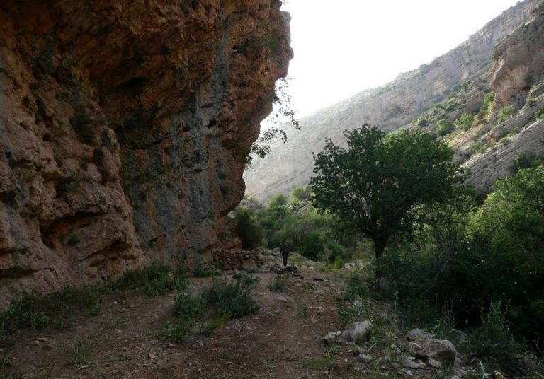 تنگ گمبیل سپیدان