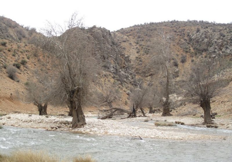 تنگ رود شیر