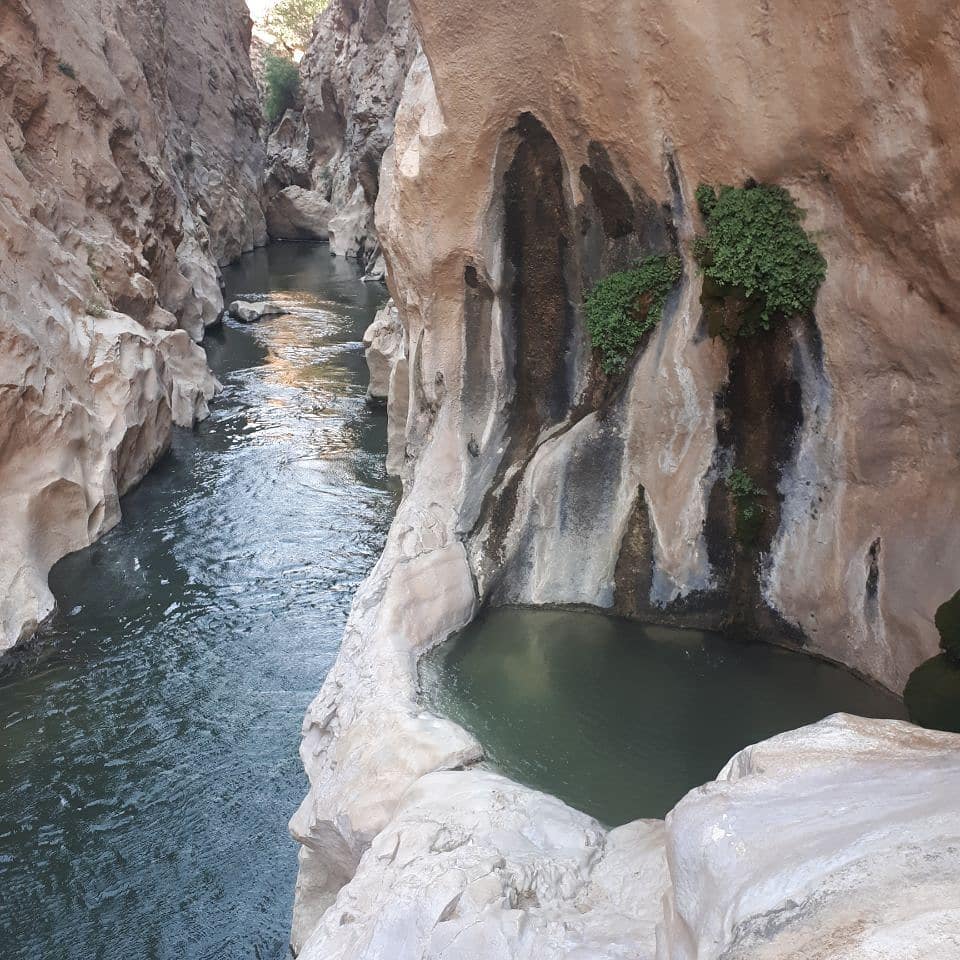 تنگ لی لی دورود
