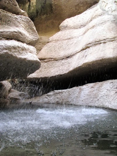 تنگ بوچیر