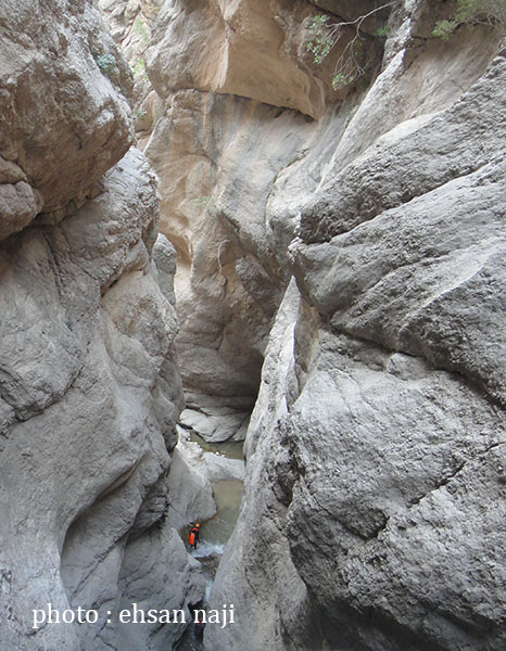 تنگ زندان