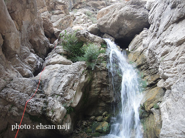 تنگ زندان