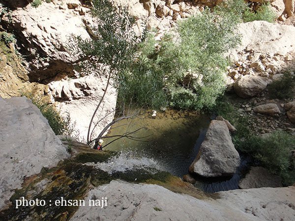 تنگ زندان
