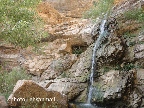 تنگ زندان