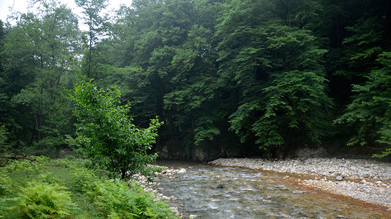 بلیران
