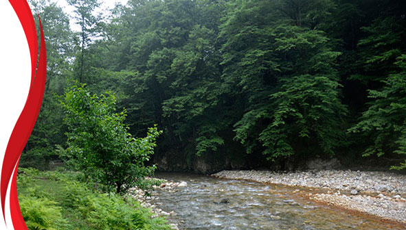 بلیران