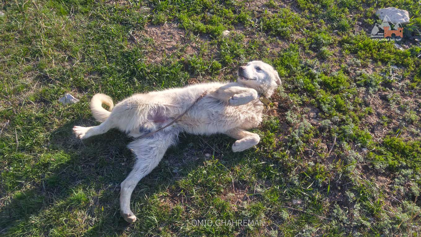 روستای قره خاچ ماکو