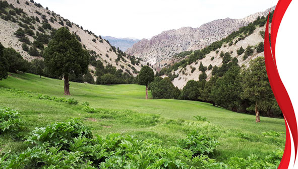 رشته کوه هزار مسجد خراسان