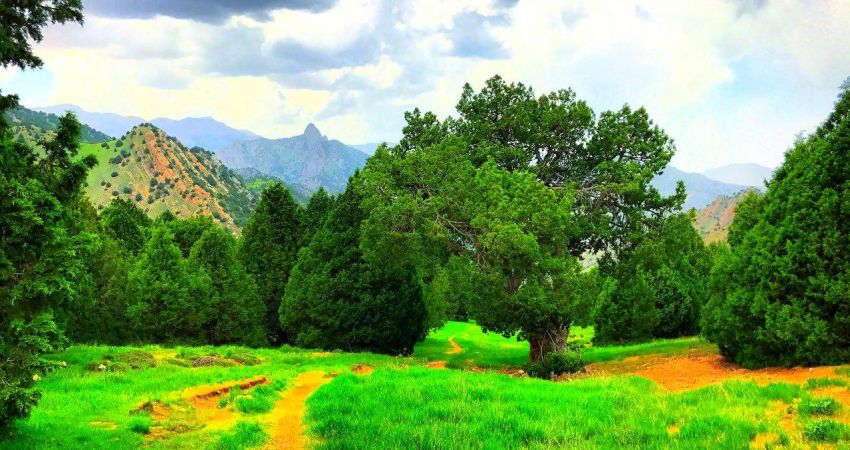 رشته کوه هزار مسجد خراسان