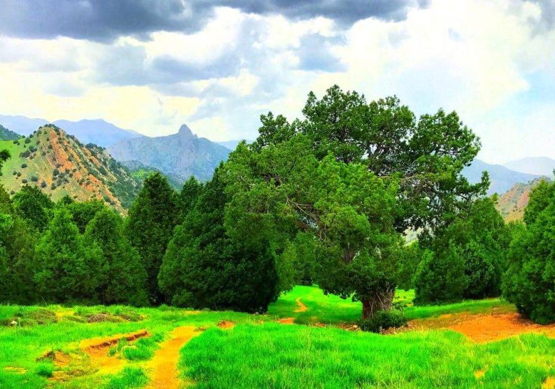 رشته کوه هزار مسجد خراسان