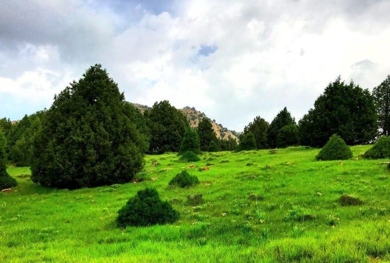 رشته کوه هزار مسجد خراسان